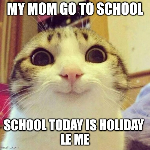 Smiling cat | MY MOM GO TO SCHOOL; SCHOOL TODAY IS HOLIDAY 
LE ME | image tagged in memes,smiling cat | made w/ Imgflip meme maker