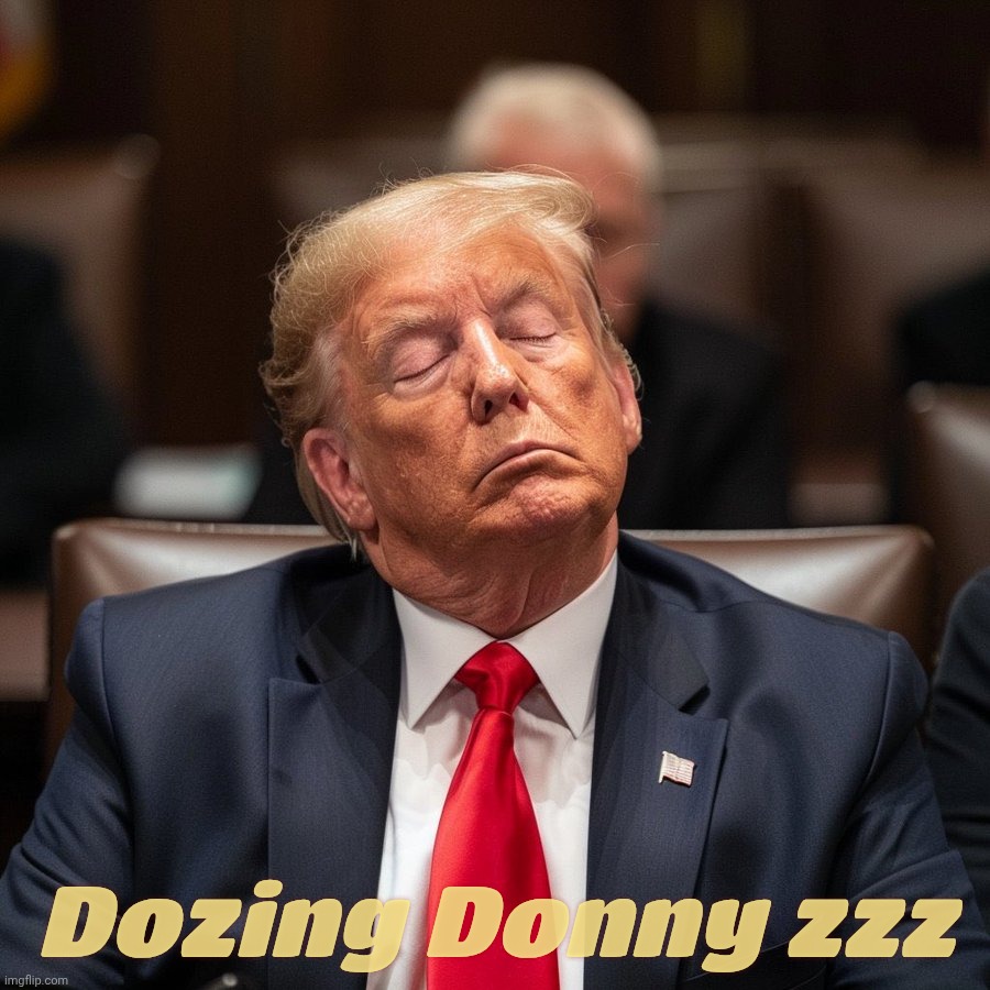 Job time is nap time,,, | Dozing Donny zzz | image tagged in sleeping trump,trump,dozing donny,commander in sleep donald trump,commander in sleep,remember sleepy joe biden | made w/ Imgflip meme maker