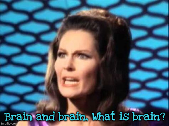 Brain and brain what is brain | Brain and brain, What is brain? | image tagged in brain and brain what is brain | made w/ Imgflip meme maker