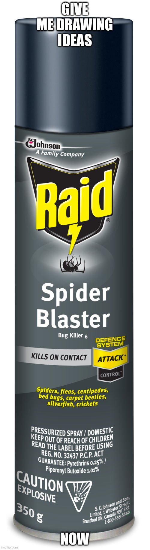 Give me drawing ideas now | GIVE ME DRAWING IDEAS; NOW | image tagged in raid spider blaster killer insecticide spray | made w/ Imgflip meme maker