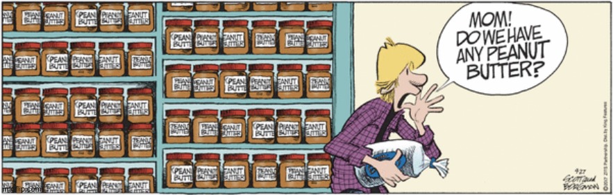 Zits | image tagged in comics | made w/ Imgflip meme maker