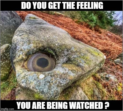 The Hills Have Eyes ! | DO YOU GET THE FEELING; YOU ARE BEING WATCHED ? | image tagged in natural,eyes,watching | made w/ Imgflip meme maker