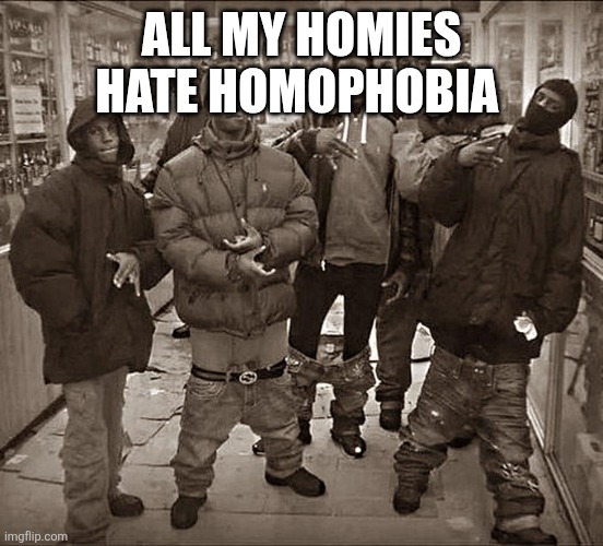 All My Homies Hate | ALL MY HOMIES HATE HOMOPHOBIA | image tagged in all my homies hate | made w/ Imgflip meme maker