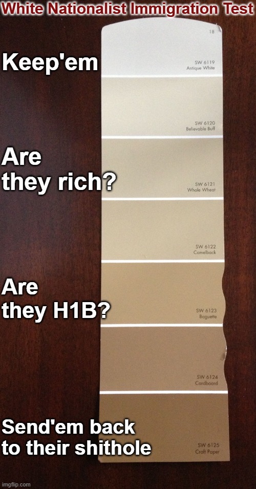 White Nationalist Immigration Test | White Nationalist Immigration Test; Keep'em; Are they rich? Are they H1B? Send'em back to their shithole | image tagged in maga,racism,bigotry,evil,republican,trump | made w/ Imgflip meme maker