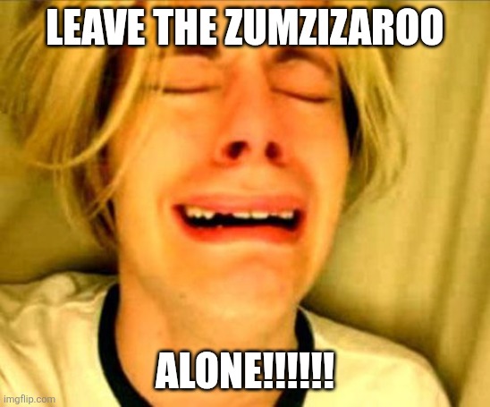 Chris Crocker | LEAVE THE ZUMZIZAROO; ALONE!!!!!! | image tagged in leave alone,cat in the hat,bad luck brian,memes | made w/ Imgflip meme maker