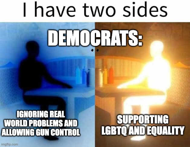 fr | DEMOCRATS:; IGNORING REAL WORLD PROBLEMS AND ALLOWING GUN CONTROL; SUPPORTING LGBTQ AND EQUALITY | image tagged in i have two sides,memes | made w/ Imgflip meme maker