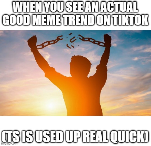 Pray for us ??✌️ | WHEN YOU SEE AN ACTUAL GOOD MEME TREND ON TIKTOK; (TS IS USED UP REAL QUICK) | image tagged in breaking chains,sad,bad meme | made w/ Imgflip meme maker