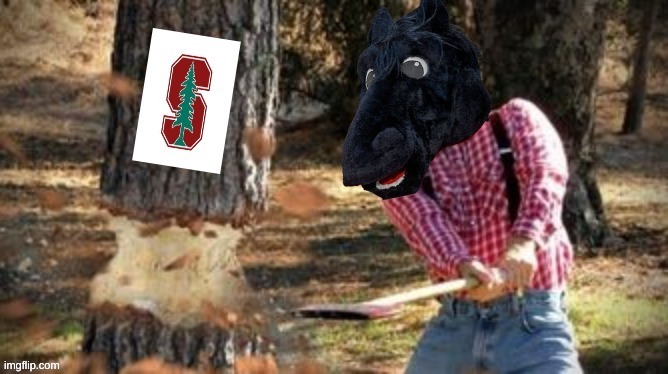 SMU football meme | image tagged in memes,college football,football,smu,texas,nfl memes | made w/ Imgflip meme maker