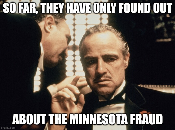 Obamacare fraud | SO FAR, THEY HAVE ONLY FOUND OUT; ABOUT THE MINNESOTA FRAUD | image tagged in godfather | made w/ Imgflip meme maker
