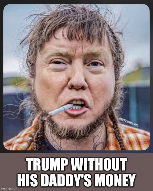 Trump without his Daddy's money | TRUMP WITHOUT HIS DADDY'S MONEY | image tagged in trump son,con | made w/ Imgflip meme maker