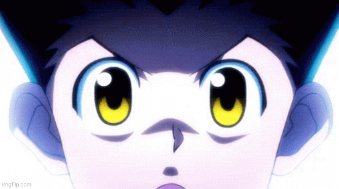 gon | image tagged in gon | made w/ Imgflip meme maker