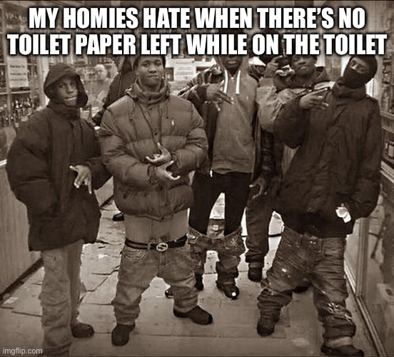 All My Homies Hate | MY HOMIES HATE WHEN THERE’S NO TOILET PAPER LEFT WHILE ON THE TOILET | image tagged in all my homies hate | made w/ Imgflip meme maker