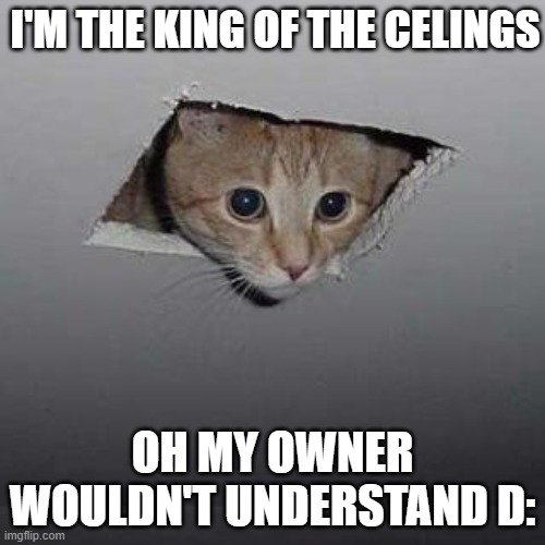 king of celings | I'M THE KING OF THE CELINGS; OH MY OWNER WOULDN'T UNDERSTAND D: | image tagged in memes,ceiling cat | made w/ Imgflip meme maker