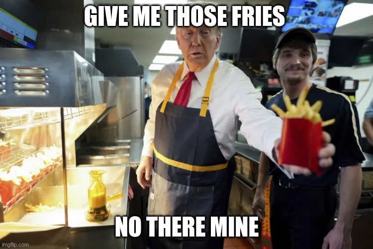 Donald trump fries | GIVE ME THOSE FRIES; NO THERE MINE | image tagged in donald trump fries | made w/ Imgflip meme maker