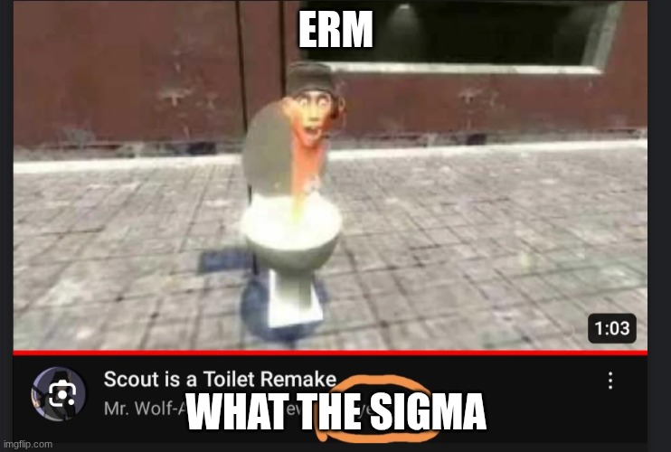 Skibbidi toilet | ERM; WHAT THE SIGMA | image tagged in skibbidi toilet | made w/ Imgflip meme maker