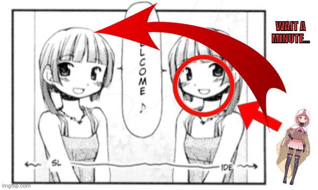 WAIT A MINUTE... | image tagged in memes,double,twins | made w/ Imgflip meme maker