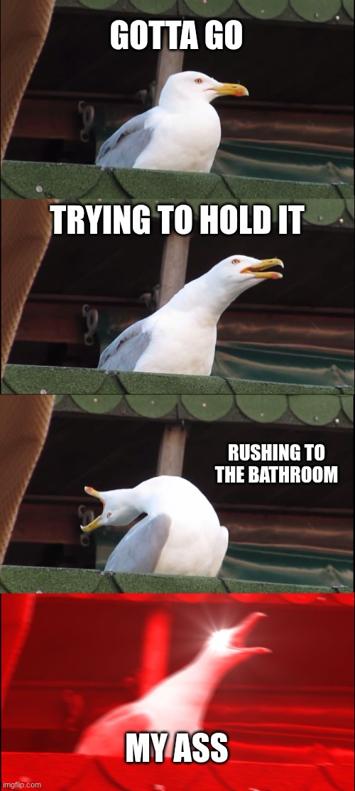 Inhaling Seagull | GOTTA GO; TRYING TO HOLD IT; RUSHING TO THE BATHROOM; MY ASS | image tagged in memes,inhaling seagull | made w/ Imgflip meme maker