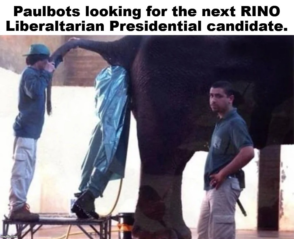 Paulbots looking for the next RINO Liberaltarian Presidential candidate. | image tagged in ron paul,rand paul,paulbots,libertarians,liberaltarians,rino | made w/ Imgflip meme maker
