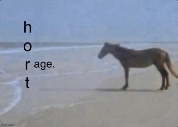 hort | image tagged in hort | made w/ Imgflip meme maker