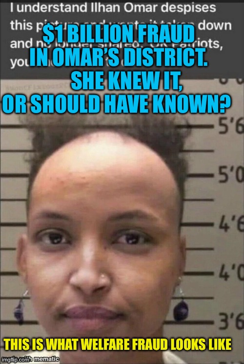 Guilty of fraud or incompetence? Which is it? | $1 BILLION FRAUD IN OMAR’S DISTRICT.     SHE KNEW IT, OR SHOULD HAVE KNOWN? THIS IS WHAT WELFARE FRAUD LOOKS LIKE | image tagged in ilhan omar,government corruption,guilty,radical islam,corruption | made w/ Imgflip meme maker