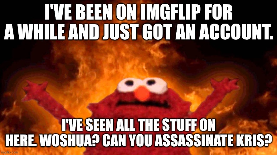 later. I said no more requests until 12:45, please. -woshua | I'VE BEEN ON IMGFLIP FOR A WHILE AND JUST GOT AN ACCOUNT. I'VE SEEN ALL THE STUFF ON HERE. WOSHUA? CAN YOU ASSASSINATE KRIS? | image tagged in elmo fire | made w/ Imgflip meme maker