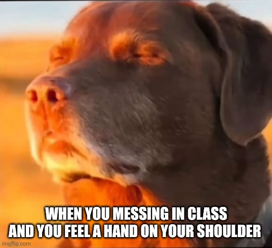 i'm cooked | WHEN YOU MESSING IN CLASS AND YOU FEEL A HAND ON YOUR SHOULDER | image tagged in i'm cooked | made w/ Imgflip meme maker