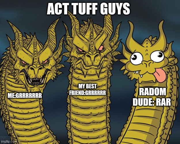 ... | ACT TUFF GUYS; MY BEST FRIEND:GRRRRRR; RADOM DUDE: RAR; ME:GRRRRRRR | image tagged in three-headed dragon,hi | made w/ Imgflip meme maker