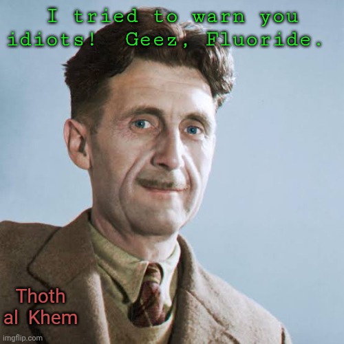 George Orwell tried to warn you . . . | I tried to warn you idiots!  Geez, Fluoride. Thoth  al  Khem | image tagged in george orwell,eric blair,fluoridated idiots,stupid people,1984 is here | made w/ Imgflip meme maker