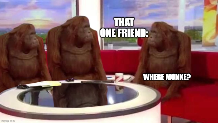 he's never there | THAT ONE FRIEND:; WHERE MONKE? | image tagged in where monkey,funny,monkey,memes,youreadtags | made w/ Imgflip meme maker
