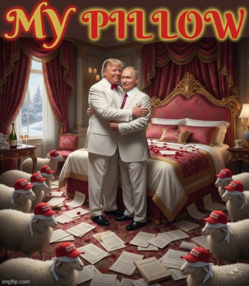 MY PILLOW | PILLOW; MY | image tagged in my pillow,trump,putin,maga,jeffrey epstein,release the files | made w/ Imgflip meme maker