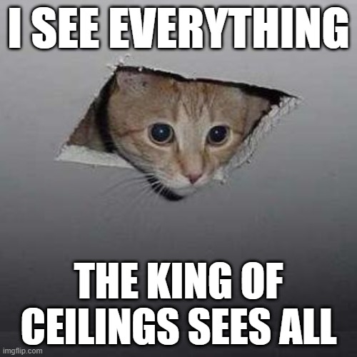 king of celings sees all | I SEE EVERYTHING; THE KING OF CEILINGS SEES ALL | image tagged in memes,ceiling cat | made w/ Imgflip meme maker