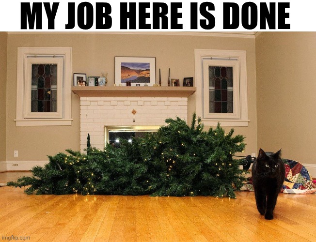 My Job Here Is Done | MY JOB HERE IS DONE | image tagged in chrisjoines1 | made w/ Imgflip meme maker