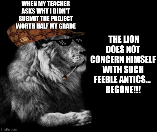 the lion.. | WHEN MY TEACHER ASKS WHY I DIDN'T SUBMIT THE PROJECT WORTH HALF MY GRADE; THE LION DOES NOT CONCERN HIMSELF WITH SUCH FEEBLE ANTICS... 
BEGONE!!! | image tagged in the lion | made w/ Imgflip meme maker