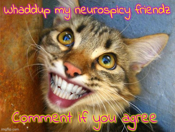 Smiling Cat Teeth | Whaddup my neurospicy friendz; Comment if you agree | image tagged in smiling cat teeth | made w/ Imgflip meme maker