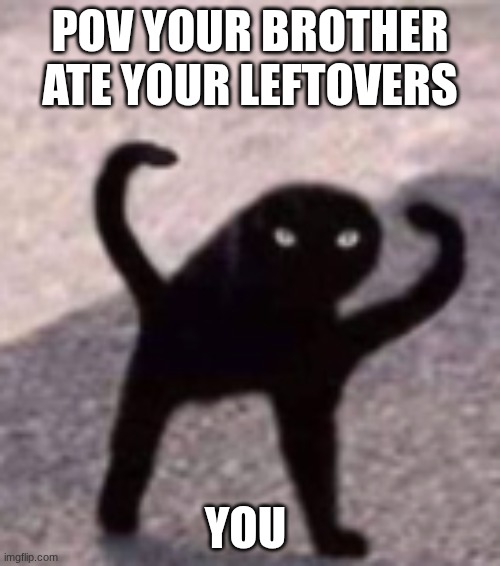 you being mad | POV YOUR BROTHER ATE YOUR LEFTOVERS; YOU | image tagged in fun,cats | made w/ Imgflip meme maker
