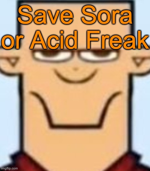 Battle of the straight Christians | Save Sora or Acid Freak | image tagged in sped tyler | made w/ Imgflip meme maker