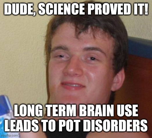 10 Guy | DUDE, SCIENCE PROVED IT! LONG TERM BRAIN USE LEADS TO POT DISORDERS | image tagged in memes,10 guy | made w/ Imgflip meme maker