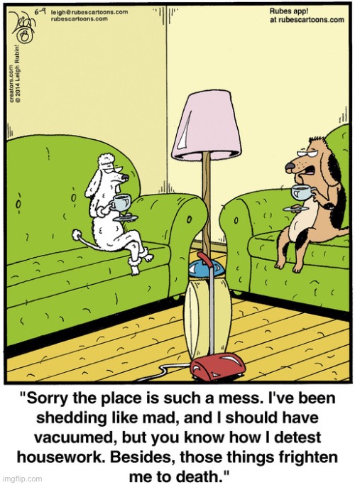 Rubes | image tagged in comics,rubes,dogs,vacuum cleaner | made w/ Imgflip meme maker