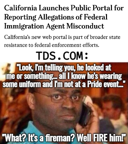 Gavin Newsom: Activate.. the Karens | image tagged in illegal immigration,deportation,american politics,man on the phone,funny | made w/ Imgflip meme maker