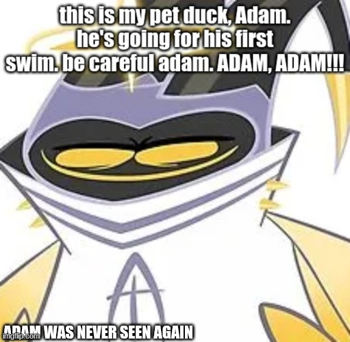 adam | ADAM WAS NEVER SEEN AGAIN | image tagged in adam,hh | made w/ Imgflip meme maker