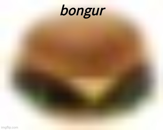 bongur | made w/ Imgflip meme maker