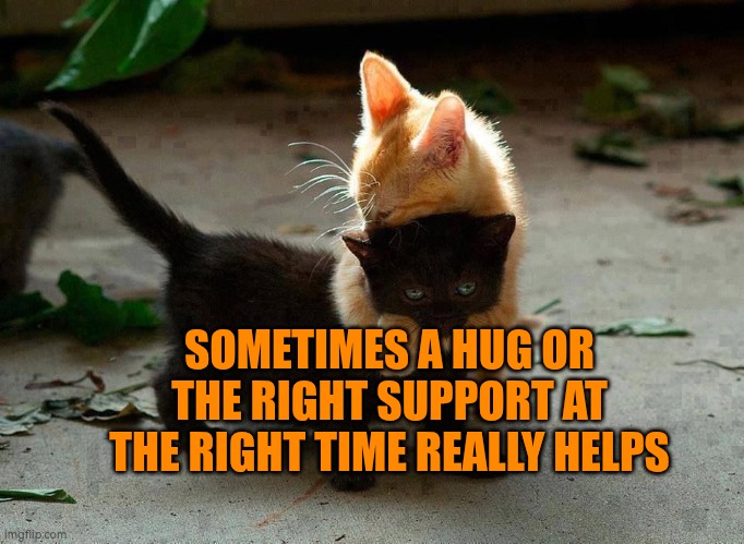 Sometimes a hug or the right support at the right time really helps | SOMETIMES A HUG OR THE RIGHT SUPPORT AT THE RIGHT TIME REALLY HELPS | image tagged in kitten hug,wellbeing,support,hugs,hug,autism | made w/ Imgflip meme maker
