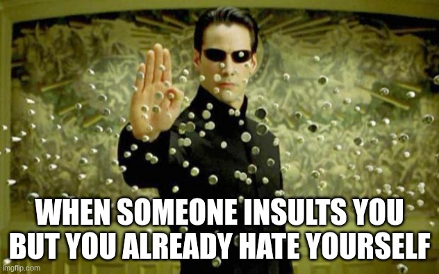 matrix | WHEN SOMEONE INSULTS YOU BUT YOU ALREADY HATE YOURSELF | image tagged in matrix | made w/ Imgflip meme maker