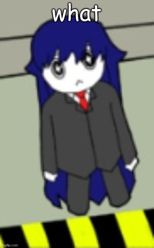 BongBong | what | image tagged in bongbong | made w/ Imgflip meme maker