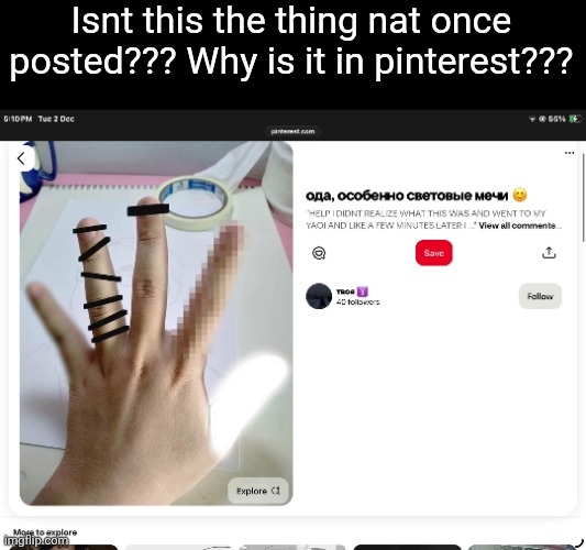 Isnt this the thing nat once posted??? Why is it in pinterest??? | made w/ Imgflip meme maker