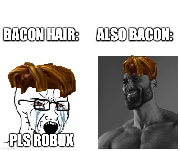 BACONS bro... | BACON HAIR:       ALSO BACON:; PLS ROBUX | image tagged in soyjak vs gigachad | made w/ Imgflip meme maker