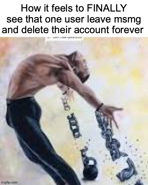 rest in piss no one gonna miss you | How it feels to FINALLY see that one user leave msmg and delete their account forever | made w/ Imgflip meme maker
