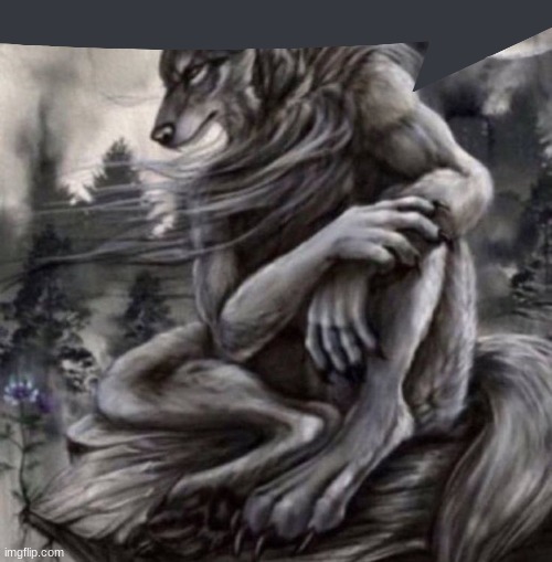 Alpha wolf | image tagged in alpha wolf | made w/ Imgflip meme maker