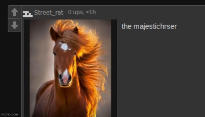 holy typo | made w/ Imgflip meme maker