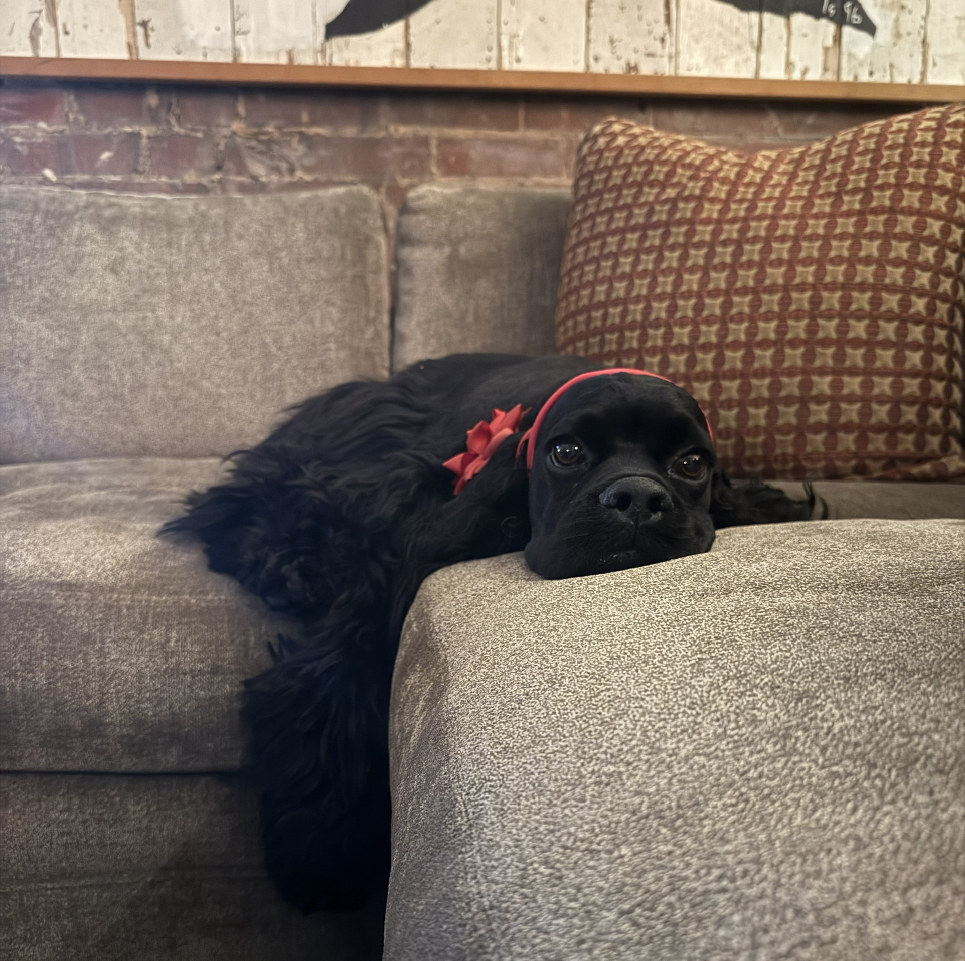 ted Blank Meme Template